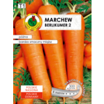 Marchew jadalna Berlikumer 2 6 m GC T1 PNOS