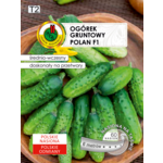 Ogórek gruntowy Polan 6 m GC T2 PNOS