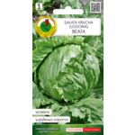 Sałata głowiasta krucha Beata 0,5 g GC 1 PNOS