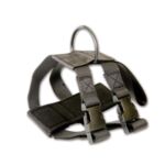 Szelki bezpieczeństwa dla psa do samochodu nr 2 średnie Dingo