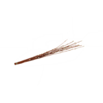 Bazie 8-10 szt. 60-70 cm