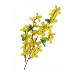 Gałązka forsycji 50 cm