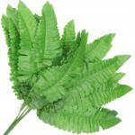 Bukiet paproci z wąsami 44 cm