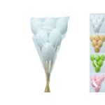 Jajko na piku plastik plastik 6 szt. różne kolory