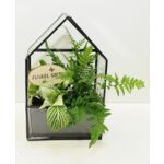 Rośliny mix terrarium domek 1091 _001