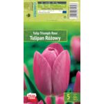 Kapers Tulip - Tulipan Triumph Rose 10/11 5 szt.