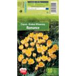 Kapers Crocus - Krokus Romance 5/7 10 szt.