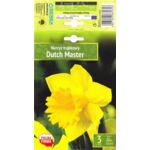Kapers Narcissus - Narcyz Dutch Master 12/14 3 szt.