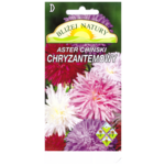 Aster chryzantemowy zestaw kolorów + polan