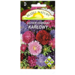 Aster karłowy zestaw kolorów + polan
