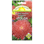 Aster książęcy izolda różowo-purpurowy + polan