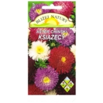 Aster książęcy zestaw kolorów + polan