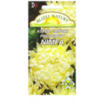 Aster piwoniowy nimfa biały + polan