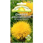 Chaber macrocephala żółty + polan