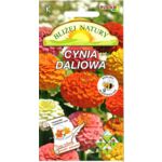 Cynia daliowa zestaw kolorów + polan
