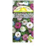 Czarnuszka damasceńska mieszana + polan