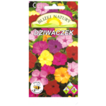 Dziwaczek jalapa mieszany + polan