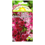 Floks gwiaździsty + polan