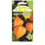 Miechunka pomarańczowa + polan