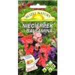 Niecierpek-balsamina mieszany