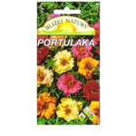 Portulaka