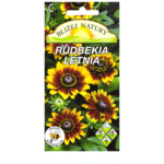 Rudbekia letnia