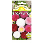 Stokrotka pomponowa mieszana