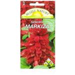 Szałwia markiza malinowa