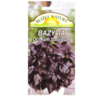 Bazylia pospolita czerwona