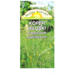 Koper włoski Bliżej Natury