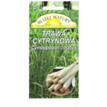 Trawa cytrynowa