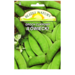 Groch siewny cukrowy iłówiecki 20 POLAN