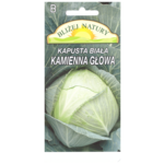 Kapusta głowiasta biała kamienna głowa późna 1 POLAN