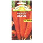 Marchew jadalna koral późna 4 POLAN