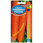 Marchew jadalna nantejska Polana średniowczesna inkrust 4 POLAN