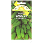 Ogórek korniszon grot mieszaniec 2 POLAN