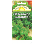Pietruszka naciowa kędzierzawa 2 POLAN