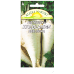 Pietruszka halblange późna 3 POLAN