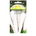 Pietruszka kinga późna 3 POLAN