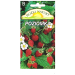 Poziomka rugia czerwona 0,2 POLAN