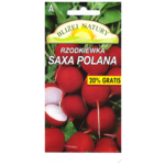 Rzodkiewka okrągła saxa Polana czerwona 6 POLAN