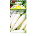 Rzodkiewka podłużna sopel lodu biała 5POLAN