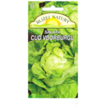 Sałata masłowa cud voorburgu 0,5 POLAN