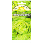 Sałata masłowa królowa majowych 0,5 POLAN 