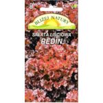 Sałata liściowa redin 0,5 POLAN