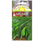 Szczaw zielony 1 POLAN