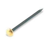 Gwóźdź 2,0 x 30 mm stalowy niebieskawy/łeb mosiężny Suki