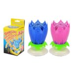 Świeca urodzinowa Kwiat grająca Ravi