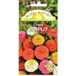 Cynia Liliput mieszanka 0,5 g Polan