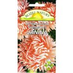 Aster Piwoniowy Janina łososiowy 0,8 g Polan